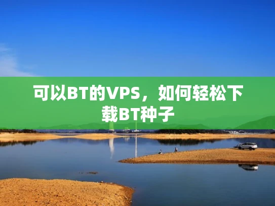 可以BT的VPS，如何轻松下载BT种子