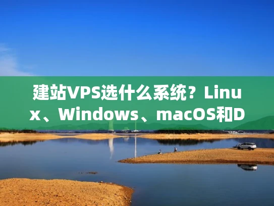 建站VPS选什么系统？Linux、Windows、macOS和Docker全解析