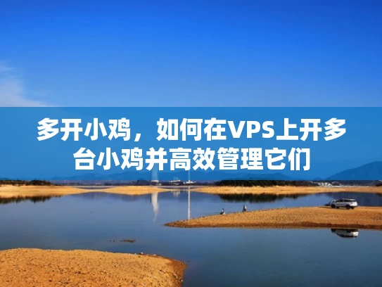 多开小鸡，如何在VPS上开多台小鸡并高效管理它们