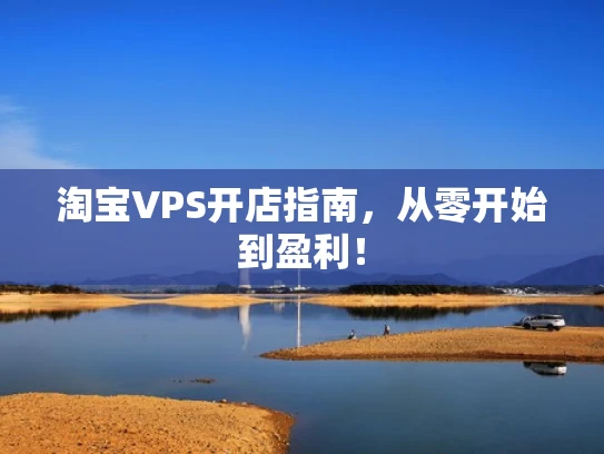 淘宝VPS开店指南，从零开始到盈利！