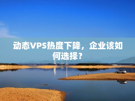 动态VPS热度下降，企业该如何选择？
