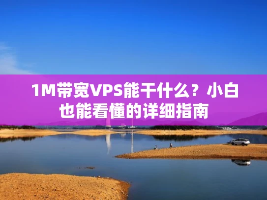 1M带宽VPS能干什么？小白也能看懂的详细指南
