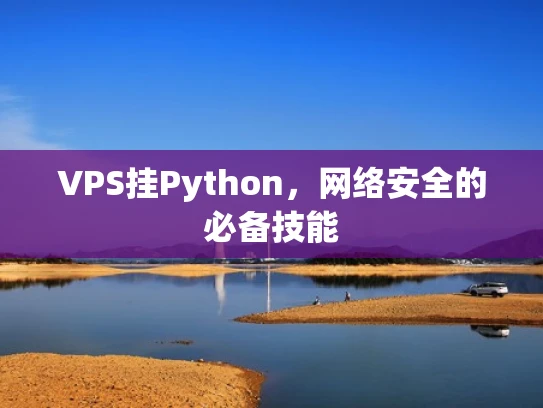 VPS挂Python，网络安全的必备技能