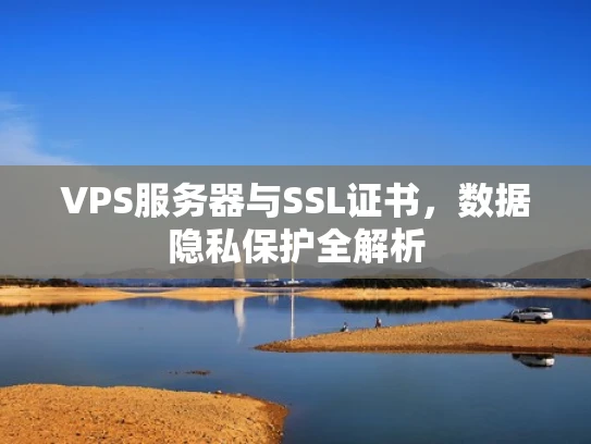 VPS服务器与SSL证书，数据隐私保护全解析