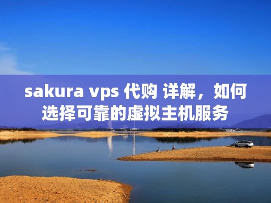 sakura vps 代购 详解，如何选择可靠的虚拟主机服务