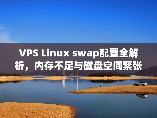 VPS Linux swap配置全解析，内存不足与磁盘空间紧张怎么办？