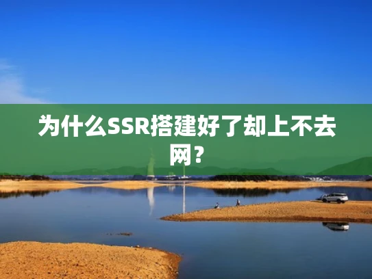 为什么SSR搭建好了却上不去网？