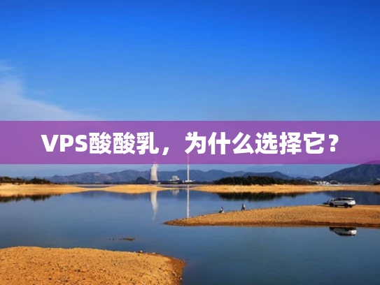 VPS酸酸乳，为什么选择它？