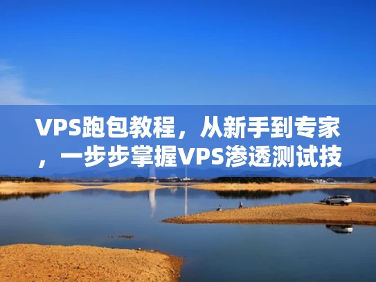 VPS跑包教程，从新手到专家，一步步掌握VPS渗透测试技术