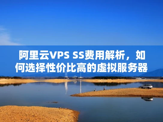 阿里云VPS SS费用解析，如何选择性价比高的虚拟服务器？
