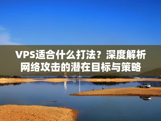 VPS适合什么打法？深度解析网络攻击的潜在目标与策略