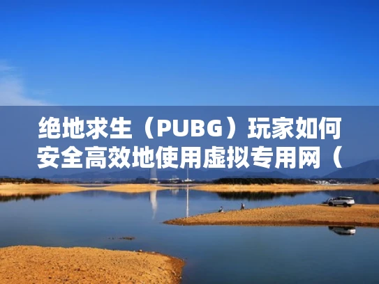 绝地求生（PUBG）玩家如何安全高效地使用虚拟专用网（VPN）