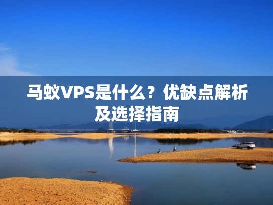 马蚁VPS是什么？优缺点解析及选择指南