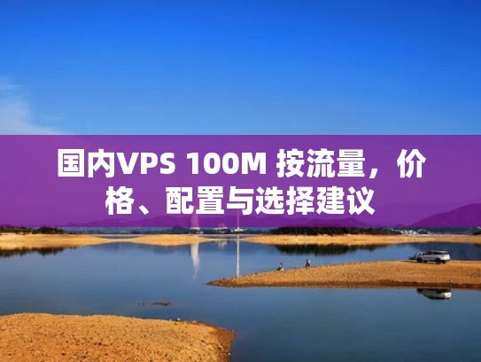 国内VPS 100M 按流量，价格、配置与选择建议