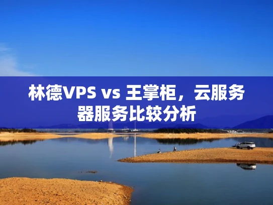 林德VPS vs 王掌柜，云服务器服务比较分析