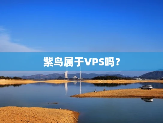 紫鸟属于VPS吗？