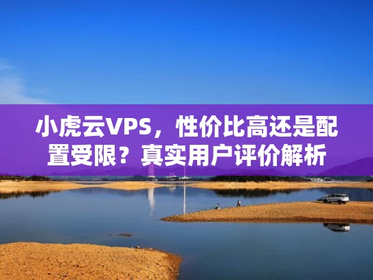小虎云VPS，性价比高还是配置受限？真实用户评价解析
