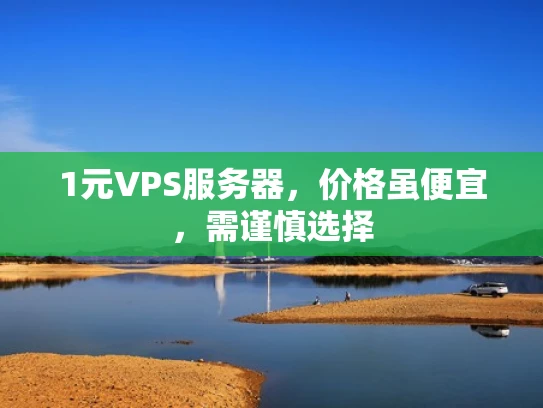 1元VPS服务器，价格虽便宜，需谨慎选择