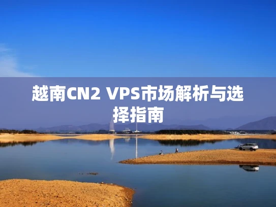 越南CN2 VPS市场解析与选择指南