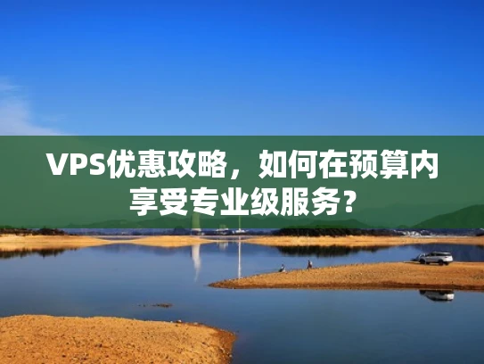 VPS优惠攻略，如何在预算内享受专业级服务？
