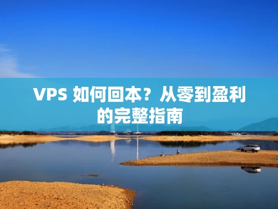VPS 如何回本？从零到盈利的完整指南
