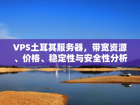 VPS土耳其服务器，带宽资源、价格、稳定性与安全性分析