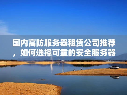 国内高防服务器租赁公司推荐，如何选择可靠的安全服务器？