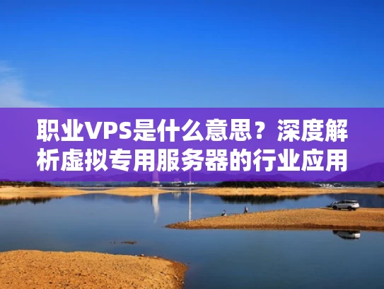 职业VPS是什么意思？深度解析虚拟专用服务器的行业应用