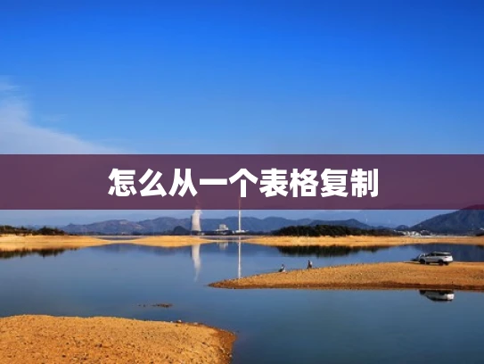 怎么从一个表格复制