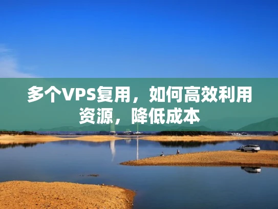 多个VPS复用，如何高效利用资源，降低成本