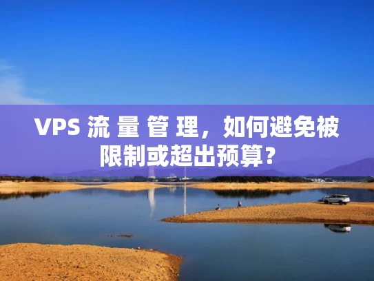 VPS 流 量 管 理，如何避免被限制或超出预算？