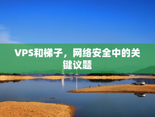 VPS和梯子，网络安全中的关键议题