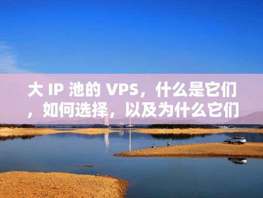 大 IP 池的 VPS，什么是它们，如何选择，以及为什么它们值得考虑