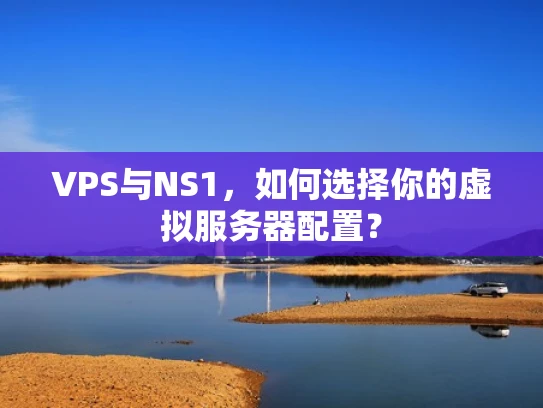 VPS与NS1，如何选择你的虚拟服务器配置？