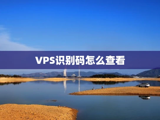 VPS识别码怎么查看