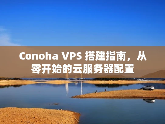 Conoha VPS 搭建指南，从零开始的云服务器配置