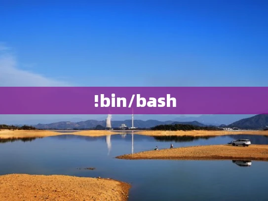 !bin/bash
