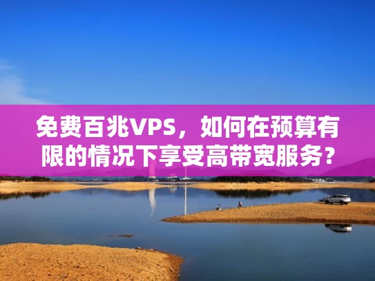 免费百兆VPS，如何在预算有限的情况下享受高带宽服务？