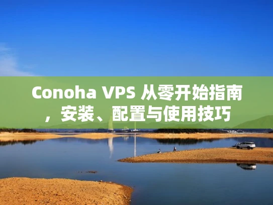 Conoha VPS 从零开始指南，安装、配置与使用技巧