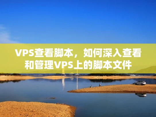 VPS查看脚本，如何深入查看和管理VPS上的脚本文件