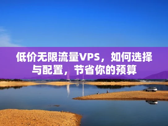 低价无限流量VPS，如何选择与配置，节省你的预算