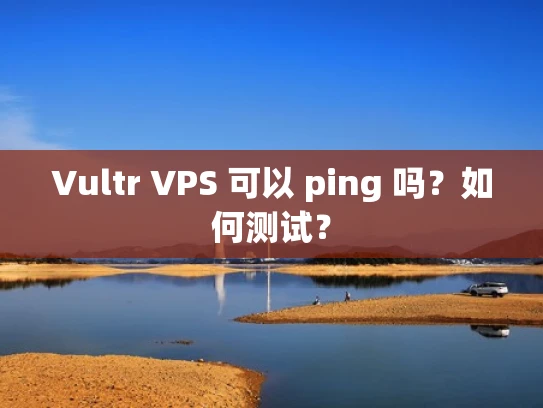 Vultr VPS 可以 ping 吗？如何测试？