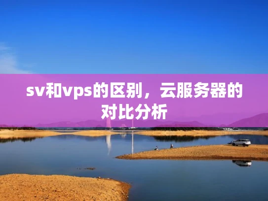 sv和vps的区别，云服务器的对比分析