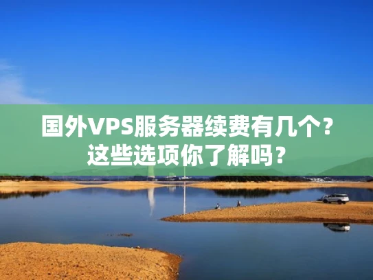 国外VPS服务器续费有几个？这些选项你了解吗？