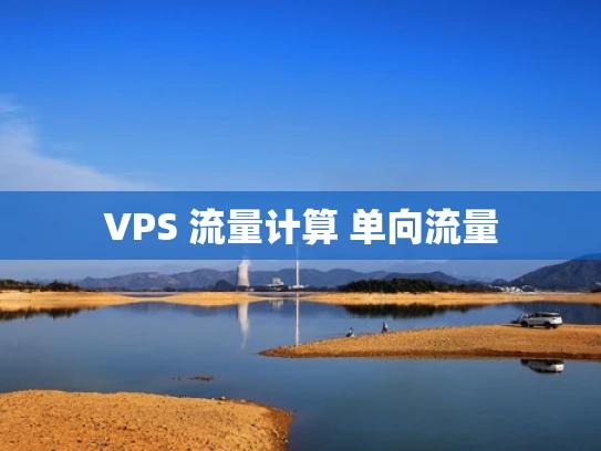 VPS 流量计算 单向流量