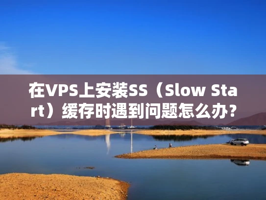 在VPS上安装SS（Slow Start）缓存时遇到问题怎么办？