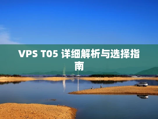 VPS T05 详细解析与选择指南