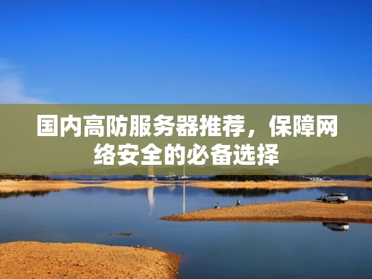 国内高防服务器推荐，保障网络安全的必备选择
