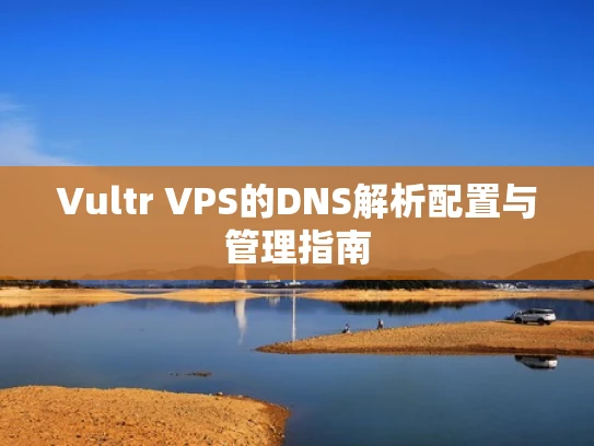 Vultr VPS的DNS解析配置与管理指南