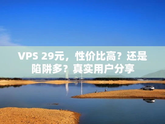 VPS 29元，性价比高？还是陷阱多？真实用户分享